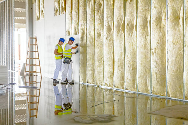 Types of Insulation We Offer in Lower Burrell, PA