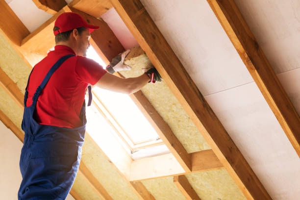 Best Attic Insulation Installation  in Lower Burrell, PA